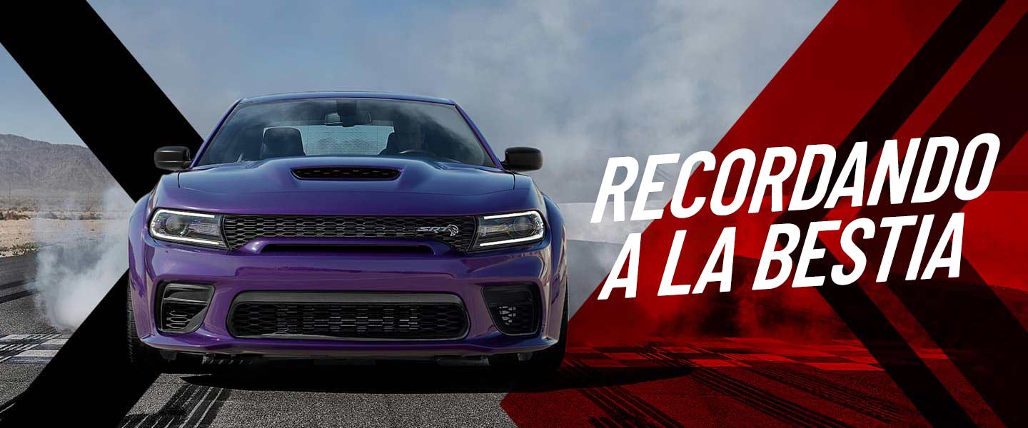 Touch up paint for your Dodge Charger Car from 2010 – The Touch Up Shop, image size:1440x600